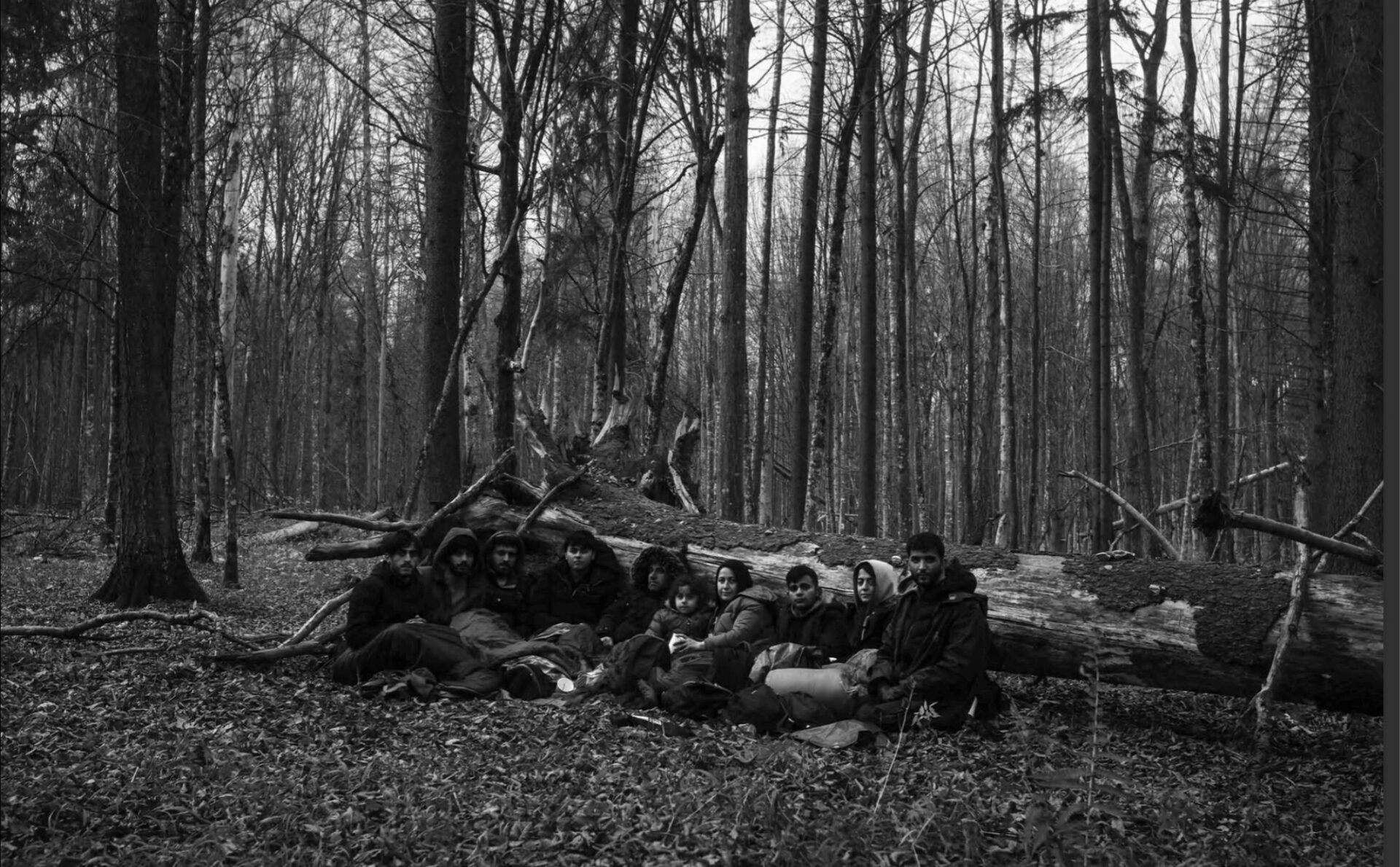 uchodźcy las drzewa granica polsko-białoruska