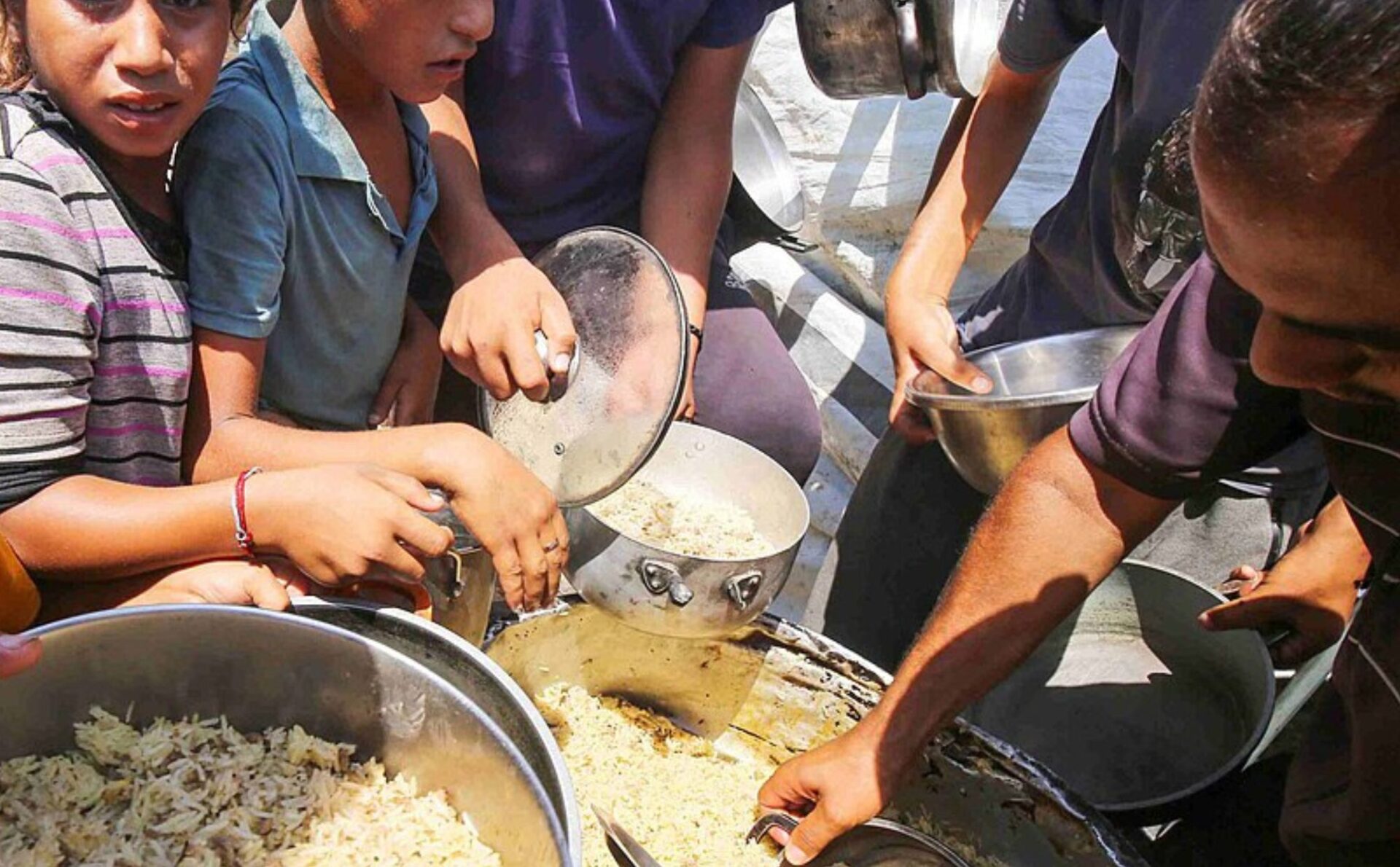 miski z ryżem i ludzie dzielący żywność