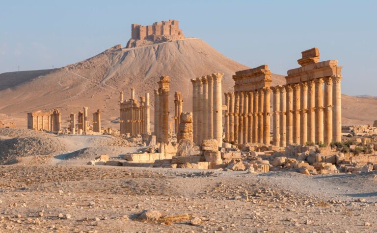 Syria na Biennale w Wenecji. Palmyra jako opowieść o wojnie i pamięci